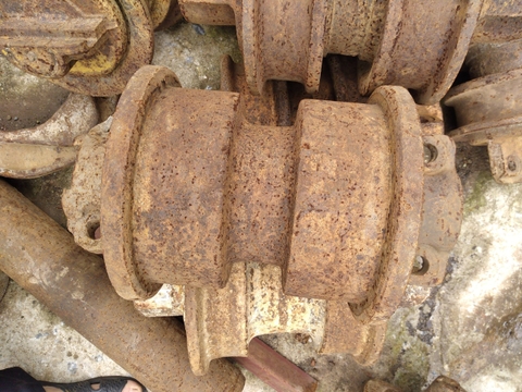 Gale Tỳ D41P