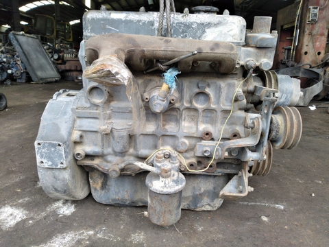 Động Cơ 4DQ50P