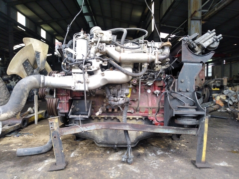 Động Cơ P11C-TI