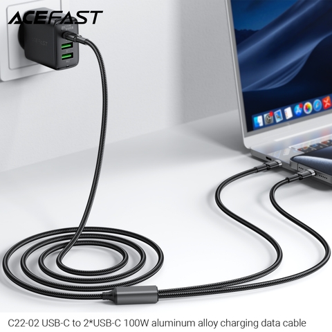 Cáp sạc nhanh 2 đầu và truyền dữ liệu ACEFAST C22-02 C to C 100W