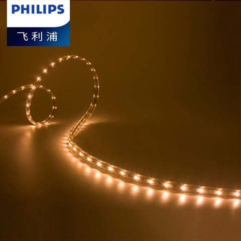 Dây đèn led trang trí ngoài trời Philips 31161 6.8w