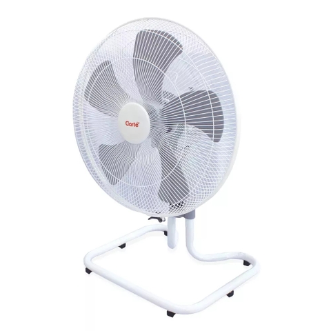 Quạt sàn Clarte '20 inch loại dao động CTTF201