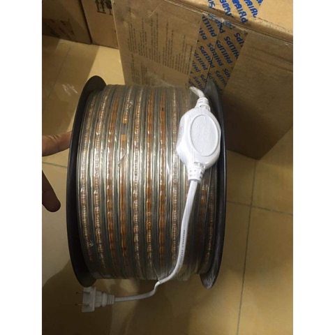 Dây đèn led trang trí ngoài trời Philips 31161 6.8w