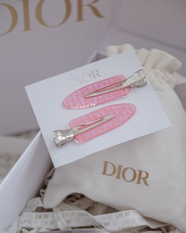 Cột Tóc DIOR Lụa Satin