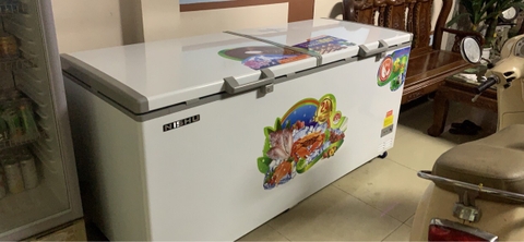 Tủ đông Nishu 988S  900 lít ( DÀN ĐỒNG) + INVERTER
