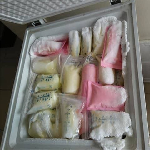 tủ đông trữ sữa bao nhiêu tiền