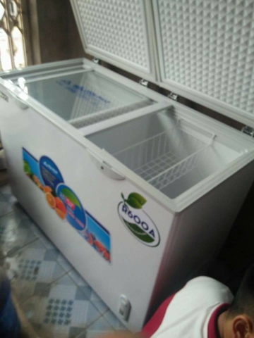 tủ đông hòa phát 656