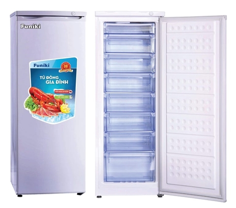3 mẫu Tủ đông đứng