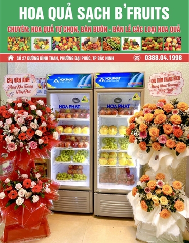 Giao 2 Tủ mát Hòa Phát 500l HSC 700f1r1 về 27 đường bình than TP Bắc Ninh