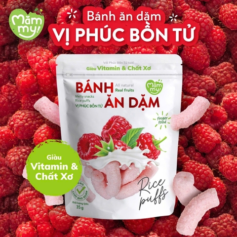 Bánh ăn dặm Mămmy vị phúc bồn tử -25g (Bé từ 6 tháng)