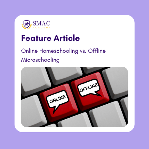 🏡📚 Exploring Your Options: Online Homeschooling vs. Offline Microschooling