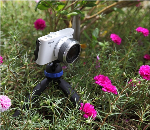 Tripod mini cho máy ảnh Compact có kẹp điện thoại - Benro TableTop - PP1A-MH2N