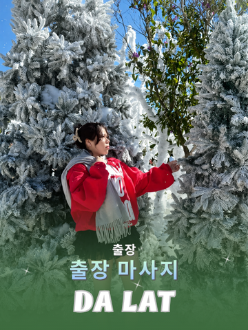 번호 210382 : 베트남 다랏 자택과 호텔에서 마사지