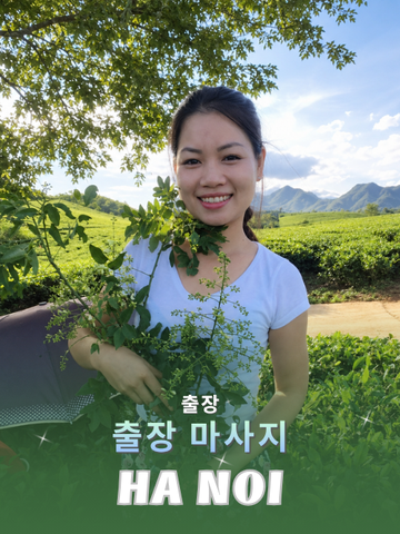 번호 210342 : 베트남 하노이 자택과 호텔에서 마사지