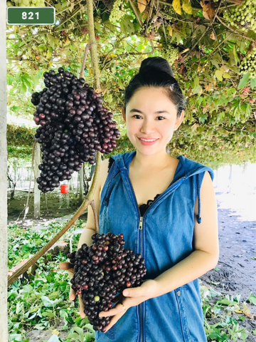 번호 821 : 베트남 호치민 자택과 호텔에서 마사지