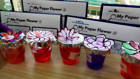 “Làm thế nào một cái cây có được những gì nó cần?