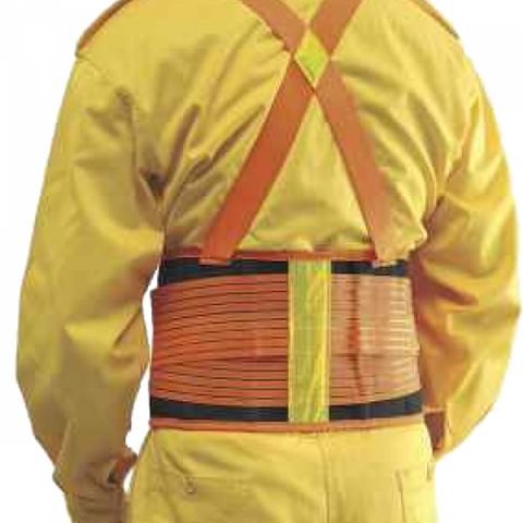 Đai bảo hộ sống lưng Proguard LSB