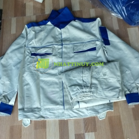 Quần áo kaki 3.1 ghi sáng phối xanh bích