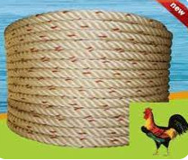 dây thừng con gà trống- Thái Lan phi 16