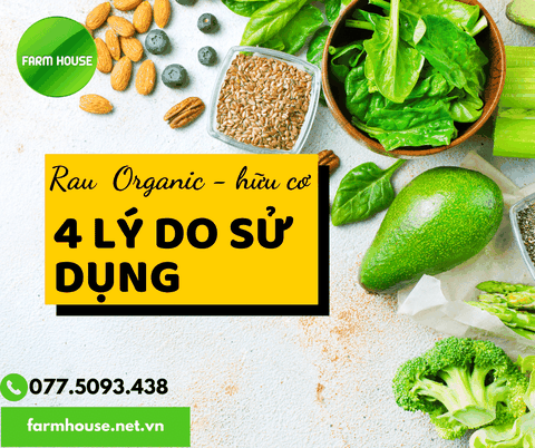 BỐN LÝ DO NÊN SỬ DỤNG RAU CỦ QUẢ ORGANIC – HỮU CƠ