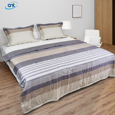 Bộ Chăn Ga Gối Tencen Lụa T01