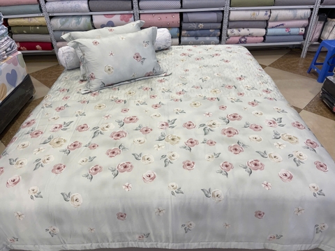 Bộ Chăn Ga Gối Tencen Lụa T33