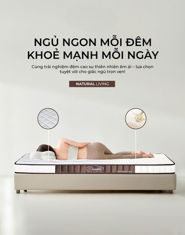 Đệm Cao Su Nhập Khẩu Cao Cấp