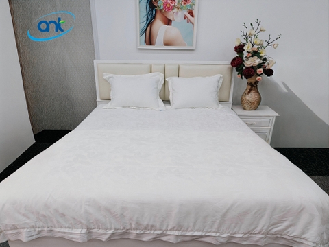 Bộ Chăn Ga Gối Ogarnic Tơ Tằm JQ08
