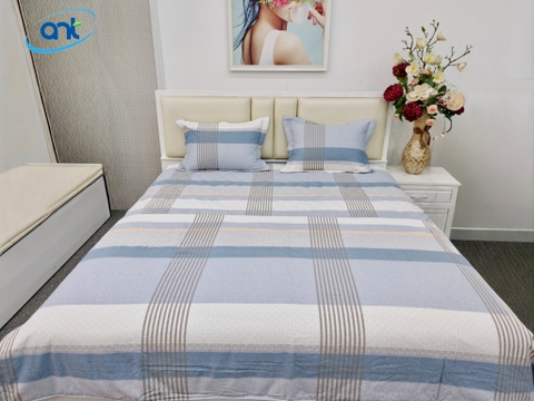 Bộ Chăn Ga Gối Cotton Nhung BC02