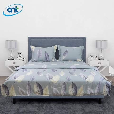Bộ Chăn Ga Gối Modal Cotton MC4A