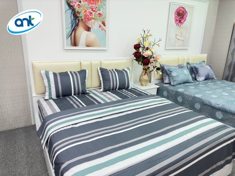 Bộ Chăn Ga Gối Cotton Lụa Y44