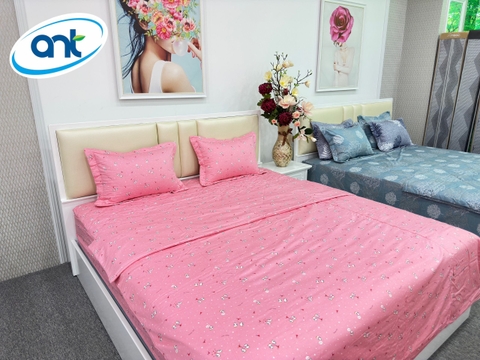 Bộ Chăn Ga Gối Cotton Lụa Y33
