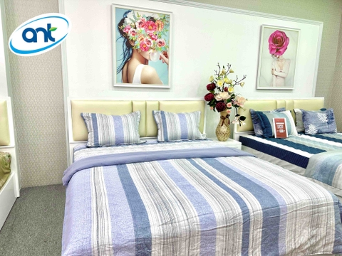 Bộ Chăn Ga Gối Modal Cotton MC7A