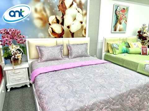Bộ Chăn Ga Gối Cotton Bamboo KM3