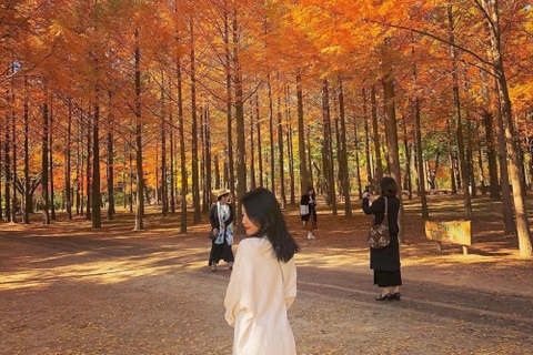 6 địa điểm tận hưởng mùa thu lãng mạn ở Hàn Quốc