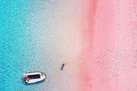 Chiêm ngưỡng bãi biển hồng đẹp như cổ tích trên đảo rồng Komodo gần Bali