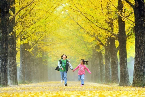 Địa điểm ngắm mùa thu ở châu Á tuyệt đẹp