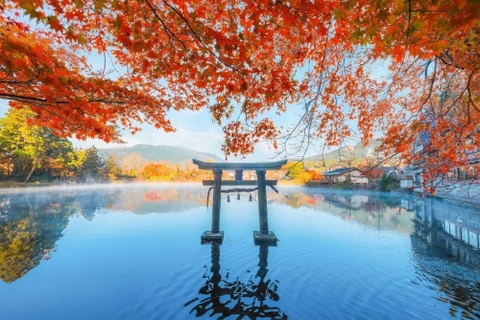 JNTO công bố lịch dự báo lá đỏ, lá vàng mới nhất cho mùa thu, Hokkaido mở màn từ cuối tháng 10