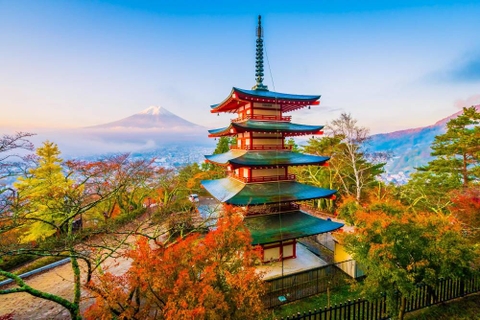Hòa mình vào sắc thu lá đỏ cùng Tour Nhật Bản