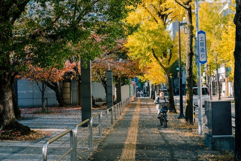 Khách Việt có thể du lịch tự túc Nhật Bản hoàn toàn