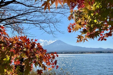 Khám phá vẻ đẹp mộng mơ của mùa thu Nhật Bản