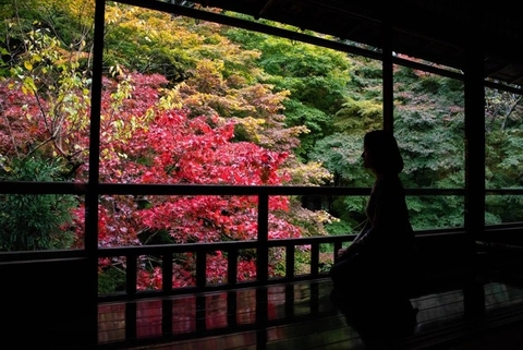 Nhật rục rịch kế hoạch thúc đẩy du lịch