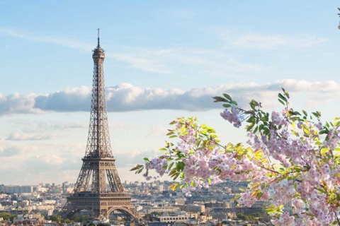 Những sự thật thú vị về nước Pháp