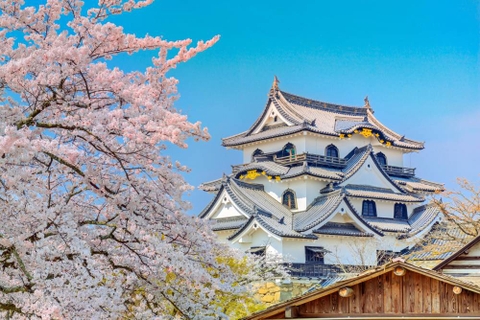 Chiêm ngưỡng top 10 lâu đài đẹp nhất Nhật Bản