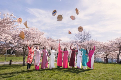 Vancouver, Canada bừng sáng sắc hoa anh đào nở