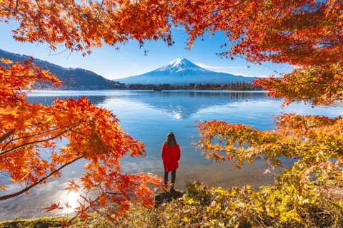 KHÁM PHÁ MÙA THU NHẬT BẢN GUNMA - FUJI - TOKYO