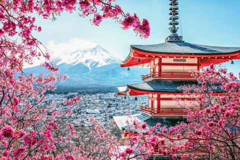 THIỀN TRÀ – SẮC XUÂN & ĐIỀM LÀNH OSAKA - NÚI PHÚ SĨ - TOKYO