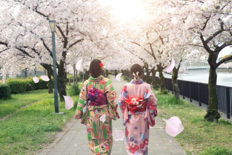 TOUR NHẬT - CUNG ĐƯỜNG VÀNG TRẢI NGHIỆM GEISHA SHOW