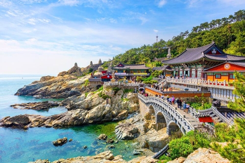 Siêu Phẩm Mùa Đông 2027: Busan - Seoul Bằng Tàu KTX