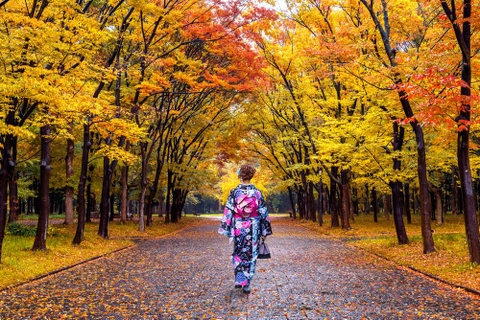 CHƯƠNG TRÌNH CHÀO THU NHẬT BẢN 2026 TOKYO – HỘI CHỢ – FUJI – NAGOYA – KYOTO – KOBE – OSAKA